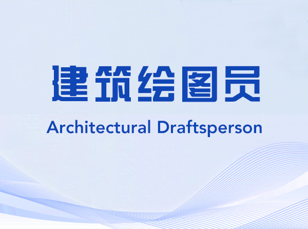 Architectural Draftsperson-312111-建筑绘图员