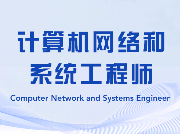 Computer Network and Systems Engineer-263111-计算机网络和系统工程师